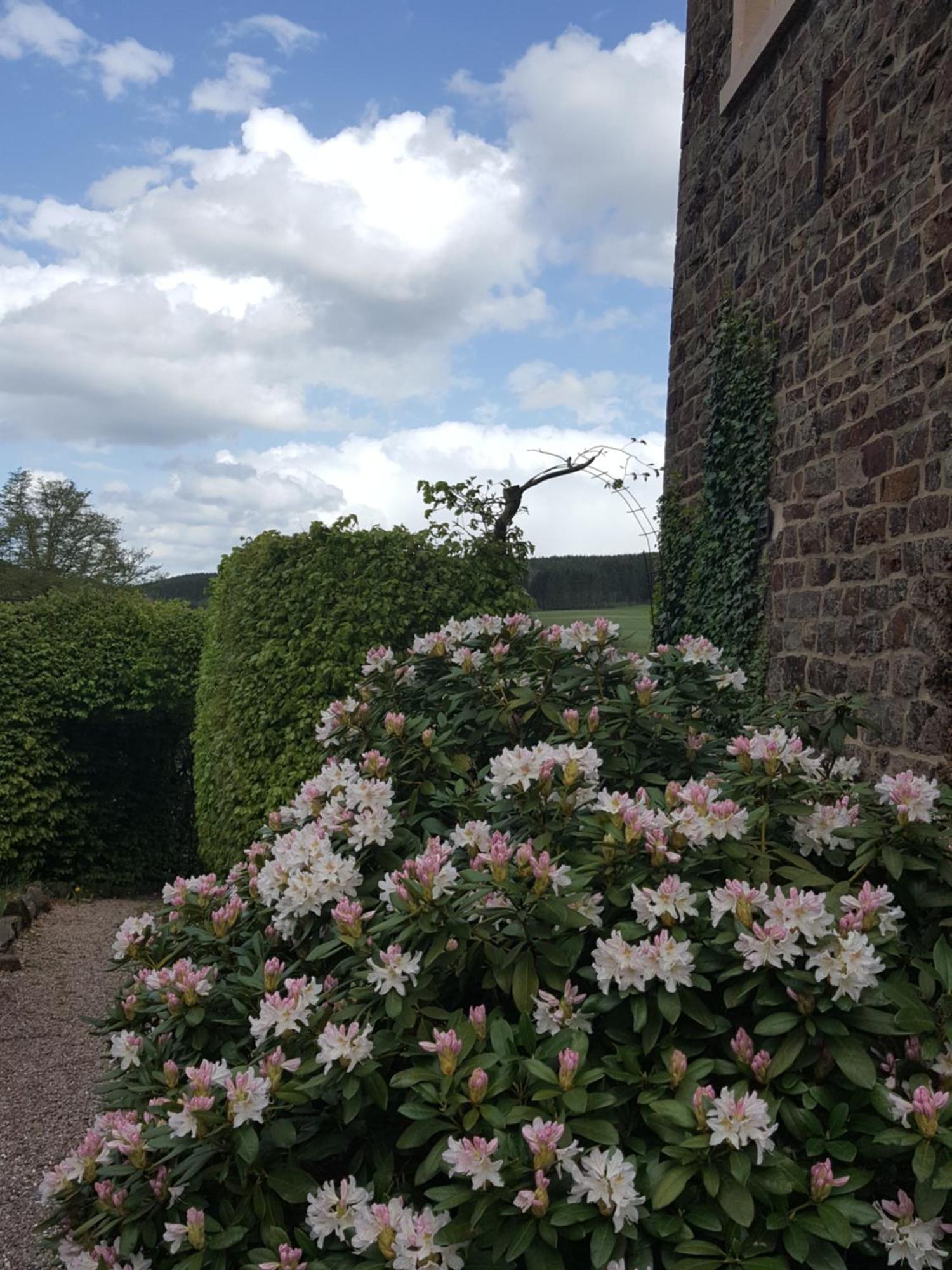 Die Alte Schule Haeuschen St. Vith Room photo